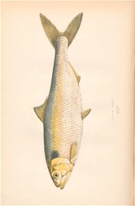 n173_w1150