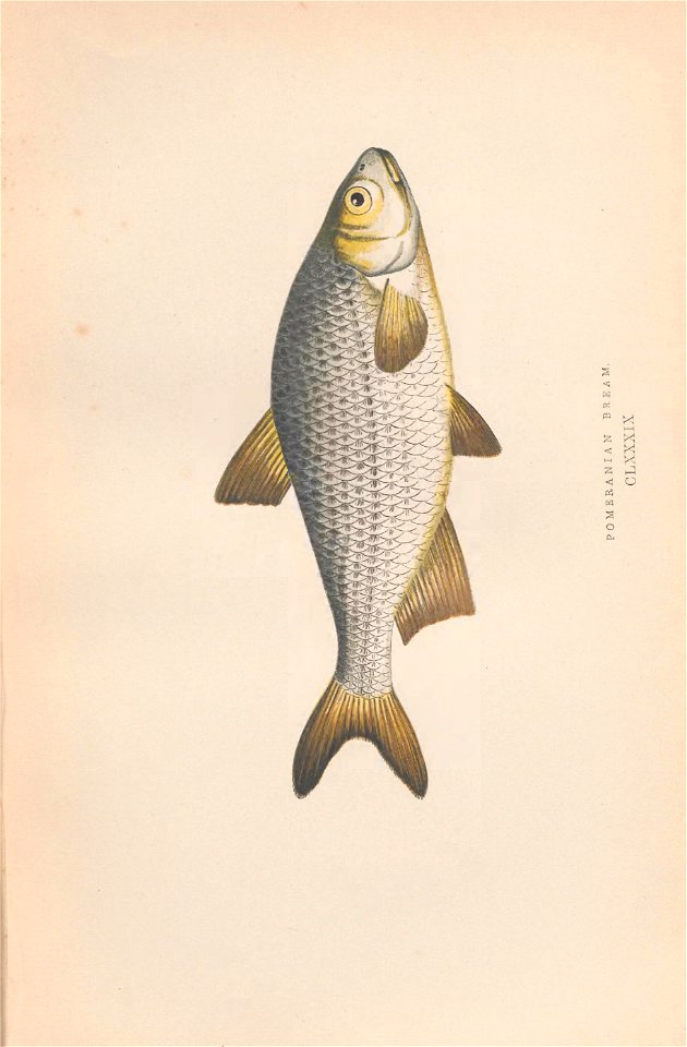 n68_w1150