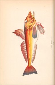n59_w1150