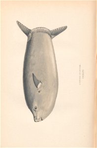 n521_w1150