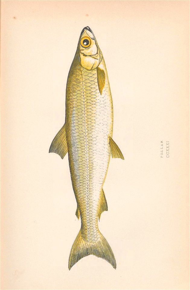 n402_w1150