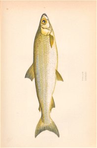 n402_w1150