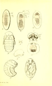 n220_w1150