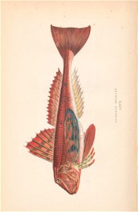 n51_w1150