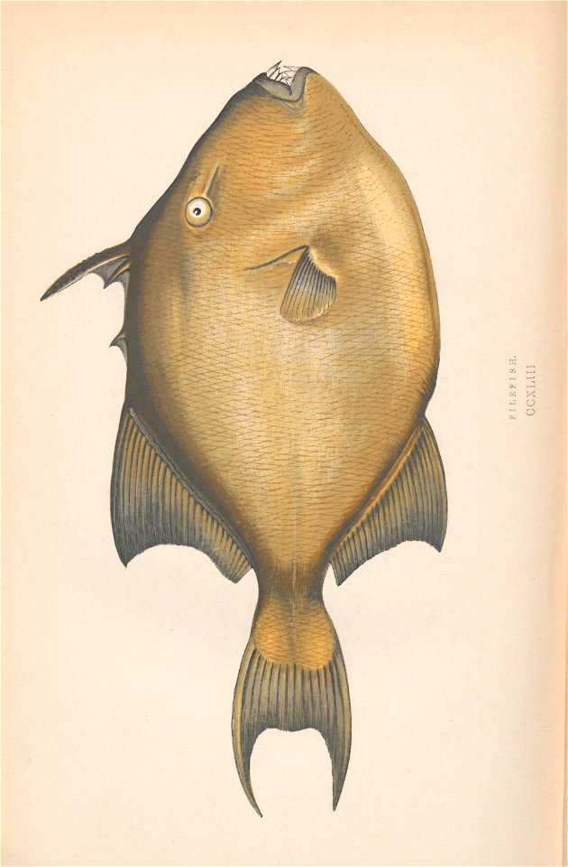 n503_w1150