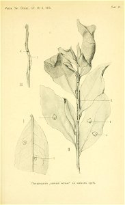 n688_w1150