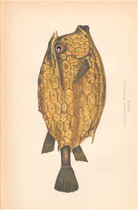 n498_w1150
