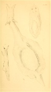 n178_w1150