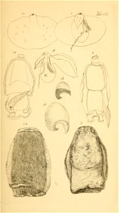 n148_w1150