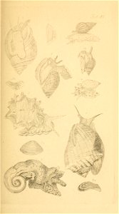 n58_w1150
