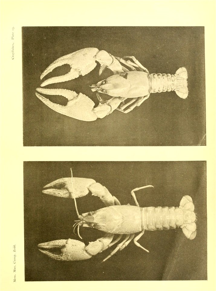 n154_w1150