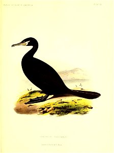 n414_w1150