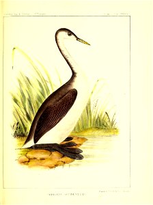 n174_w1150