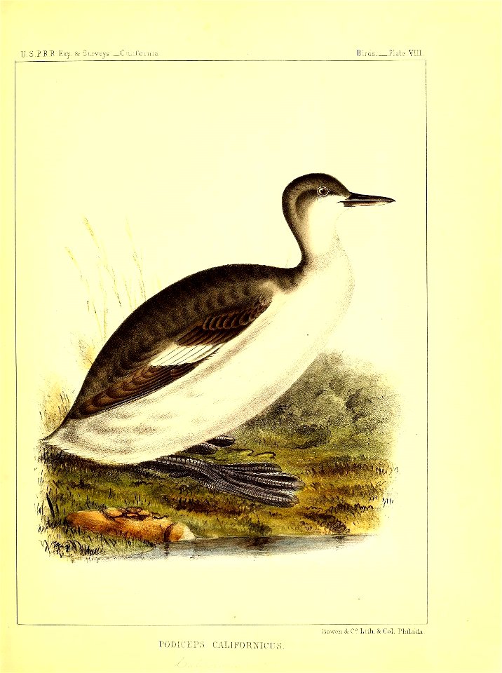 n56_w1150
