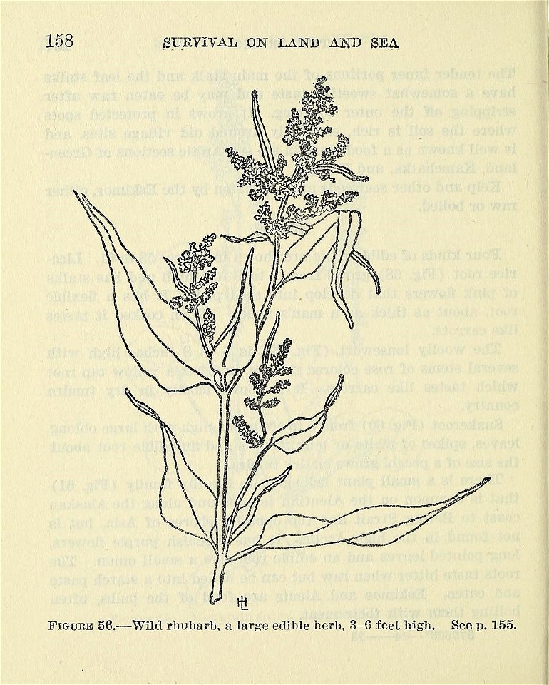 n163_w1150