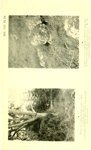 n372_w1150