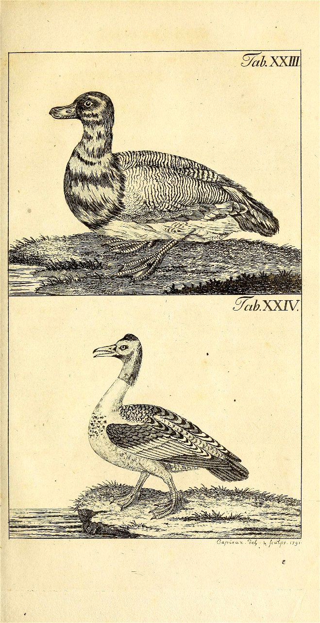 n696_w1150