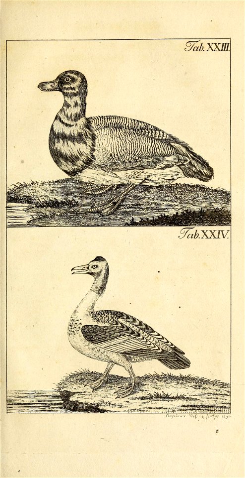 n696_w1150