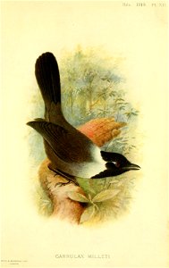 n672_w1150