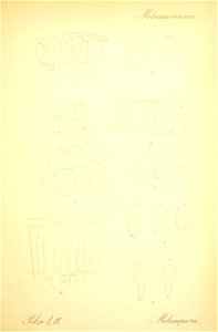 n678_w1150