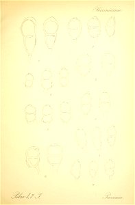 n506_w1150