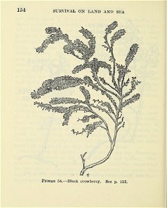 n159_w1150