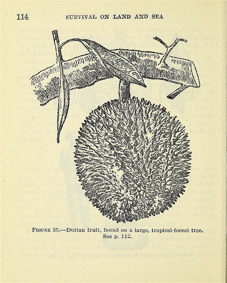 n119_w1150