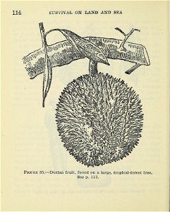 n119_w1150