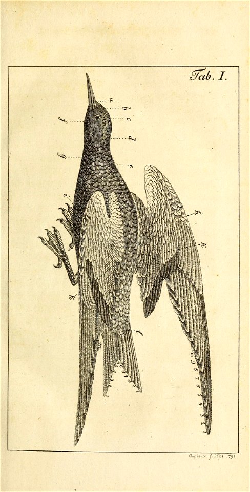 n44_w1150