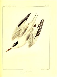 n398_w1150