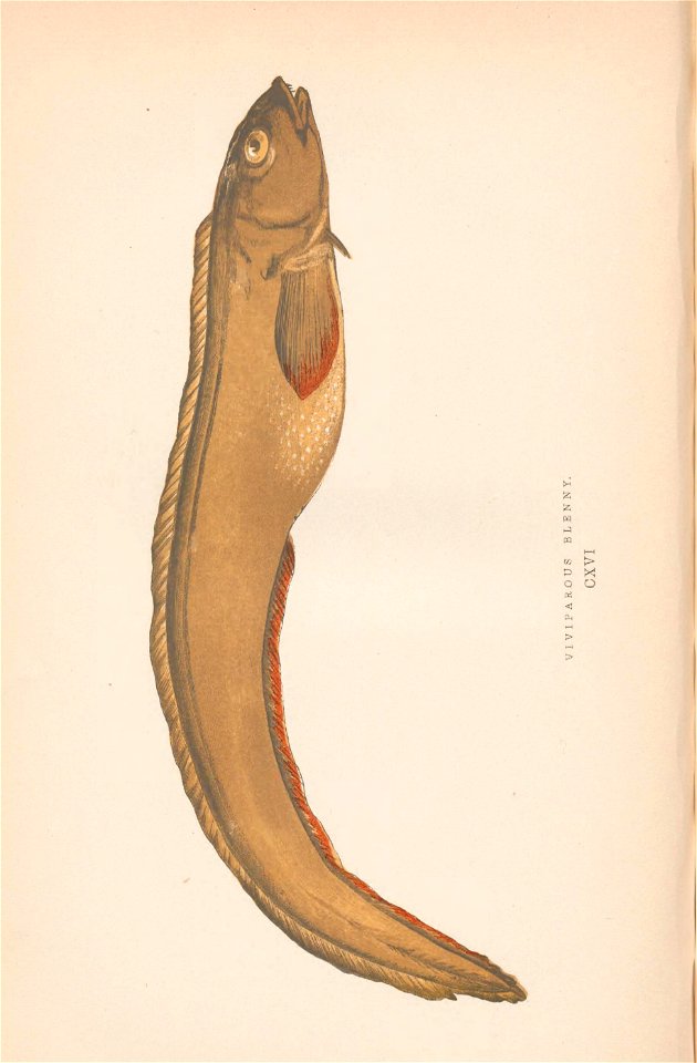 n363_w1150