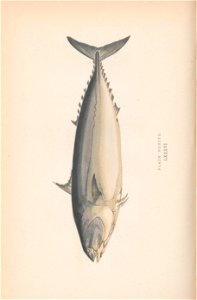 n169_w1150
