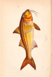 n317_w1150