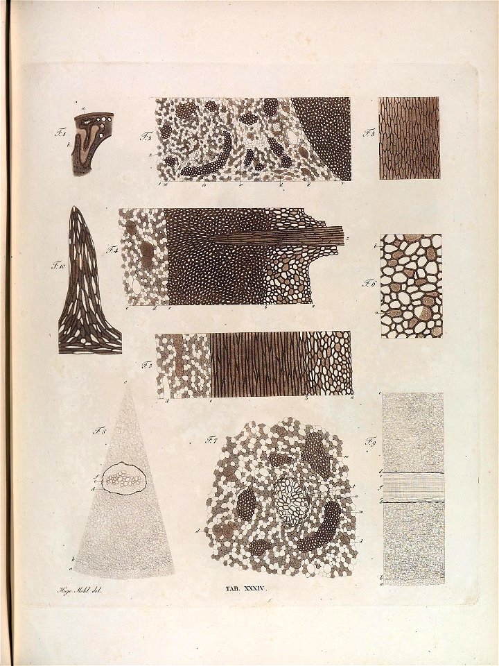 n174_w1150