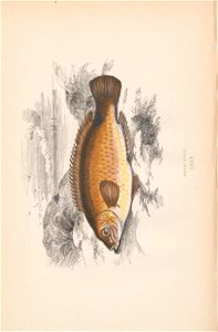 n67_w1150