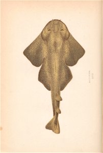 n119_w1150