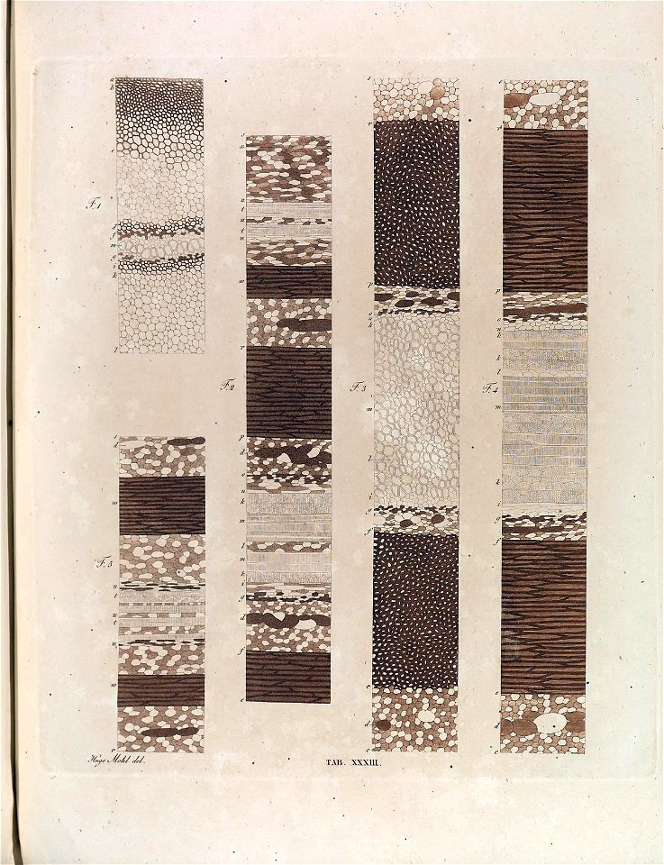 n173_w1150