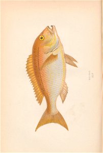 n307_w1150
