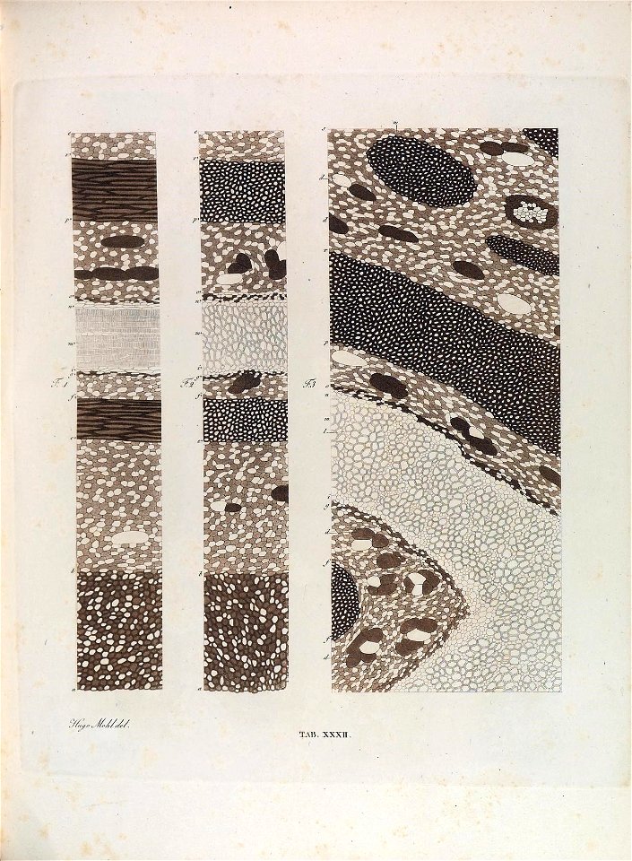 n172_w1150