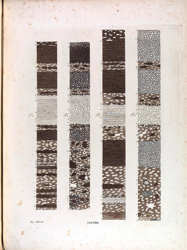 n171_w1150