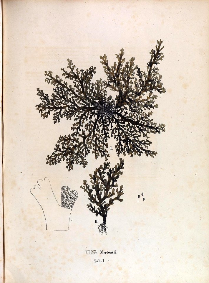 n139_w1150