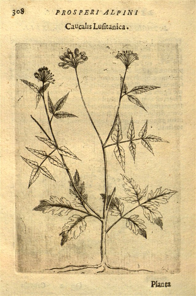 n322_w1150