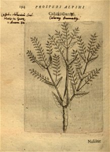n208_w1150