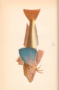 n43_w1150