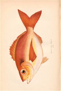 n367_w1150
