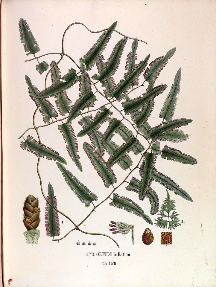 n197_w1150