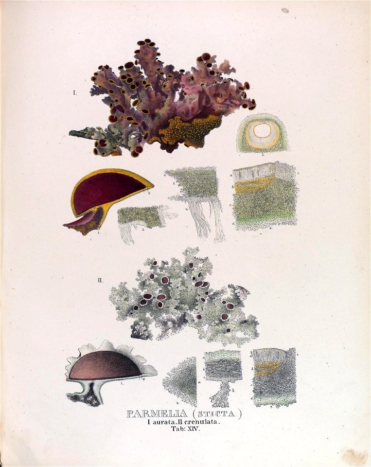 n152_w1150