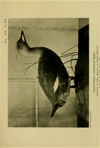 n586_w1150