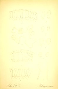 n684_w1150
