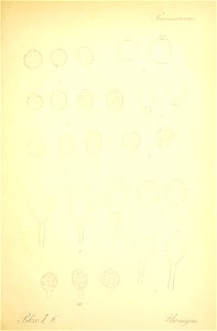 n404_w1150
